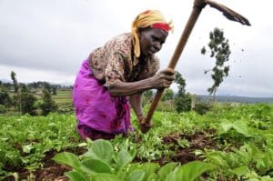 Philanthropy in Africa - Plowing the fields